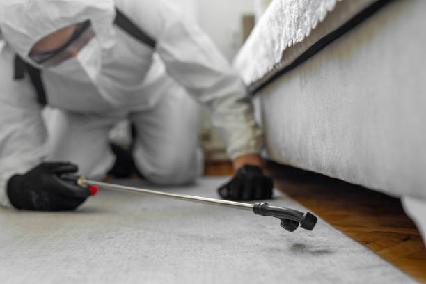 Professional Pest Control technician working in Leon, IA