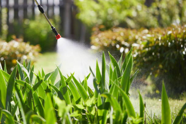 24/7 Emergency Pest Control experts in Leon, IA