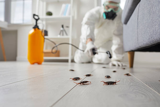 Affordable Pest Control solutions in Leon, IA
